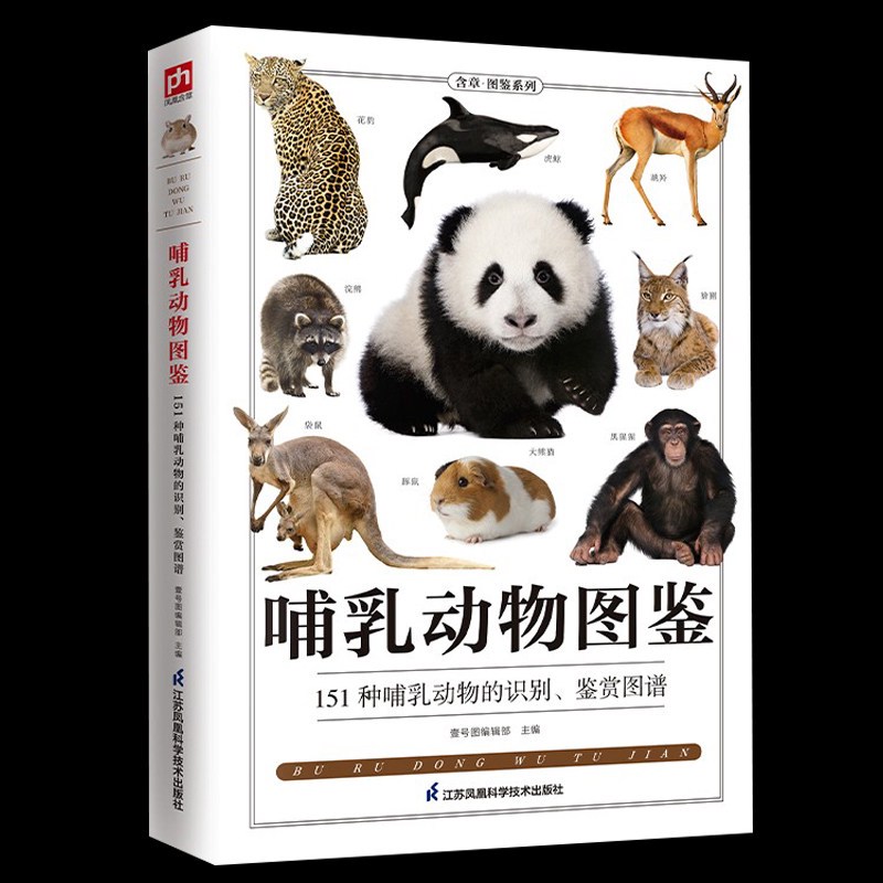 楼下那只流浪猫的早晨…