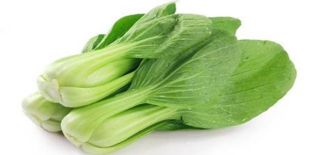 小青菜的成长日记丨从一粒种子到绿油油的小生命