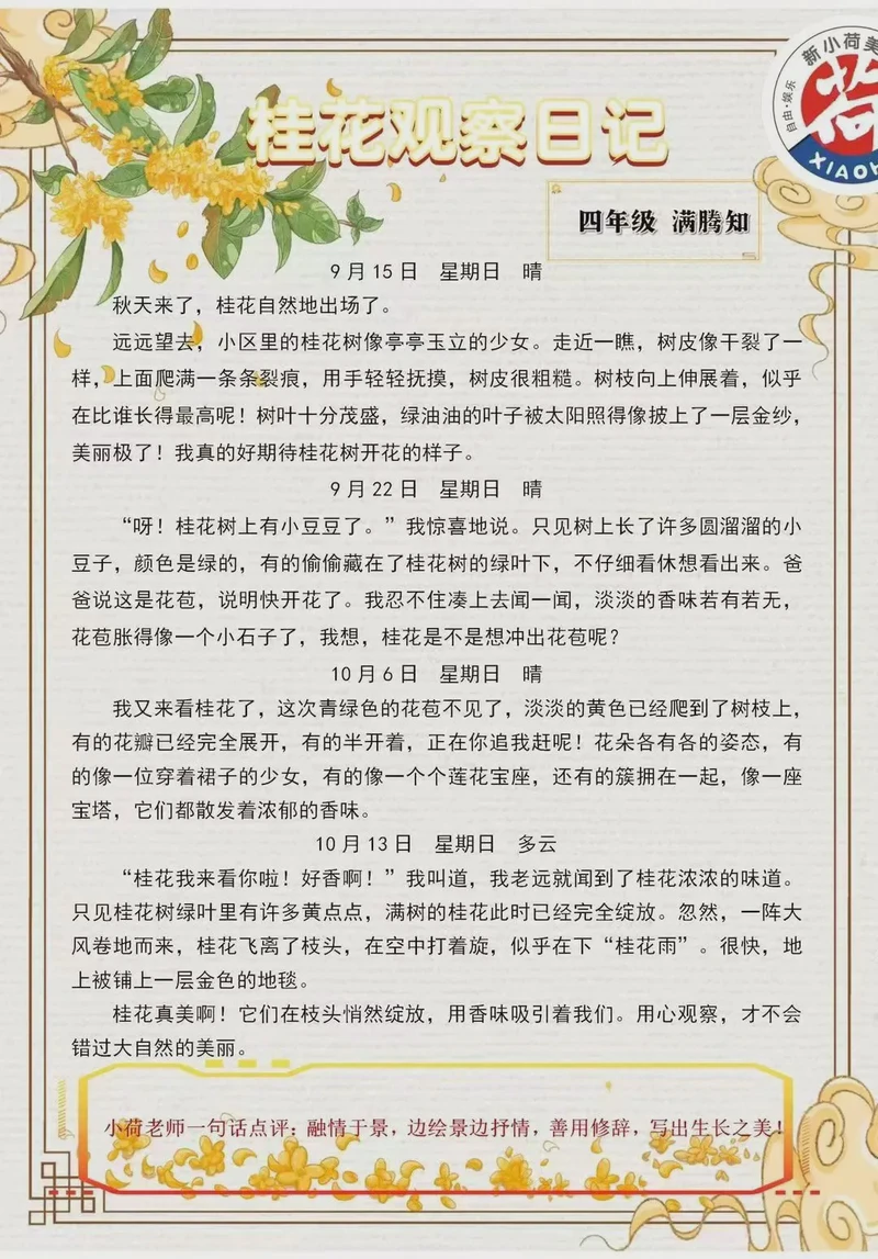 观察日记的奇妙旅程! 观察日记的奇妙旅程!