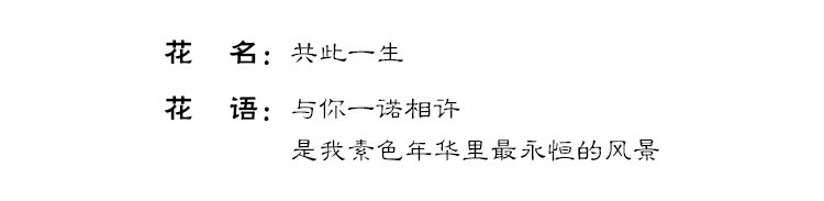 温柔情话·爱情的美好瞬间 温柔情话·爱情的美好瞬间