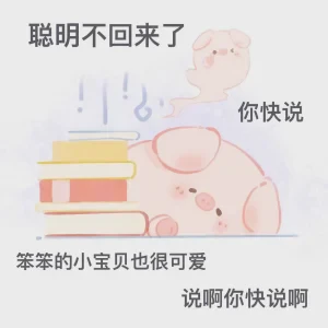 甜馨情话猪：温柔、俏皮与深情的浪漫组合