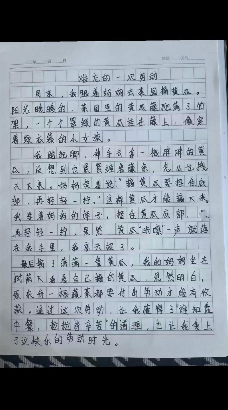 黄瓜的日记｜成长的烦恼与喜悦