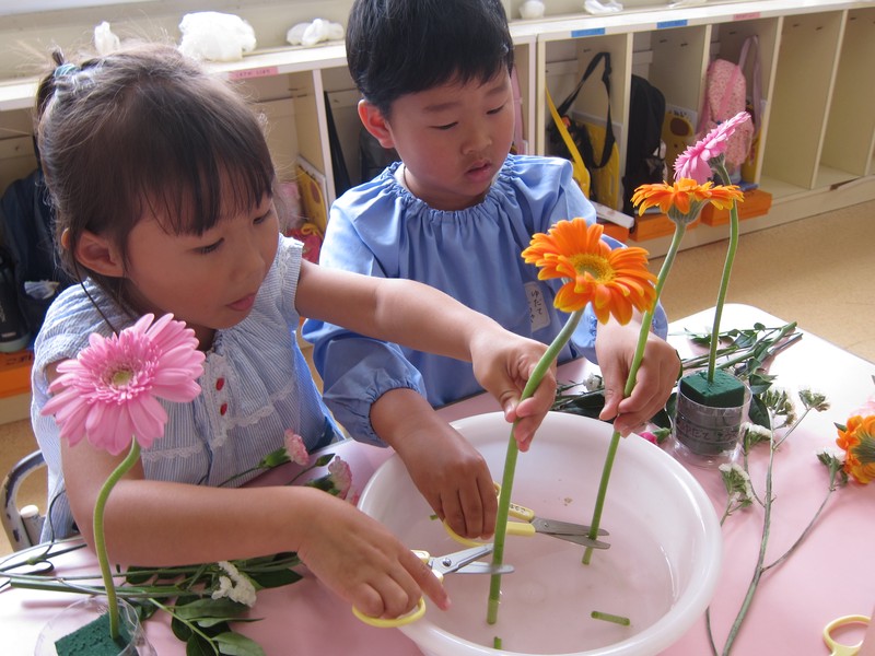 我的花儿日记｜从种子到绿叶的旅程