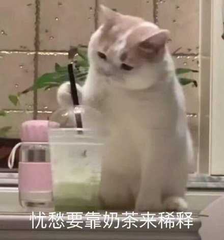 神话情话幽默文案·爱如神话，笑中带甜