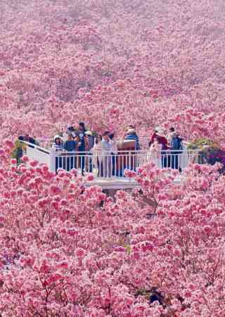 春日田野的小确幸！