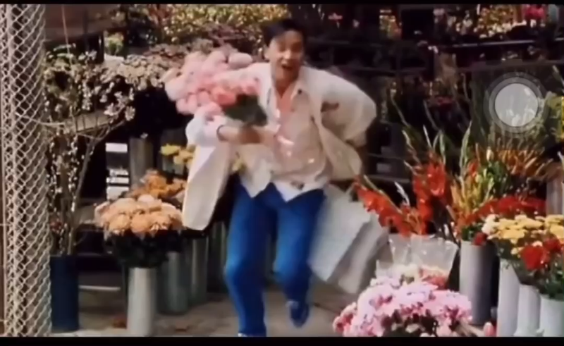 在花田里,听见张国荣说的温柔话! 在花田里,听见张国荣说的温柔话!