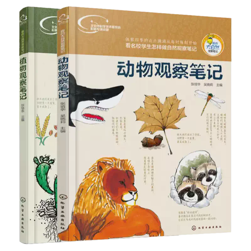 晨光中的自然对话！