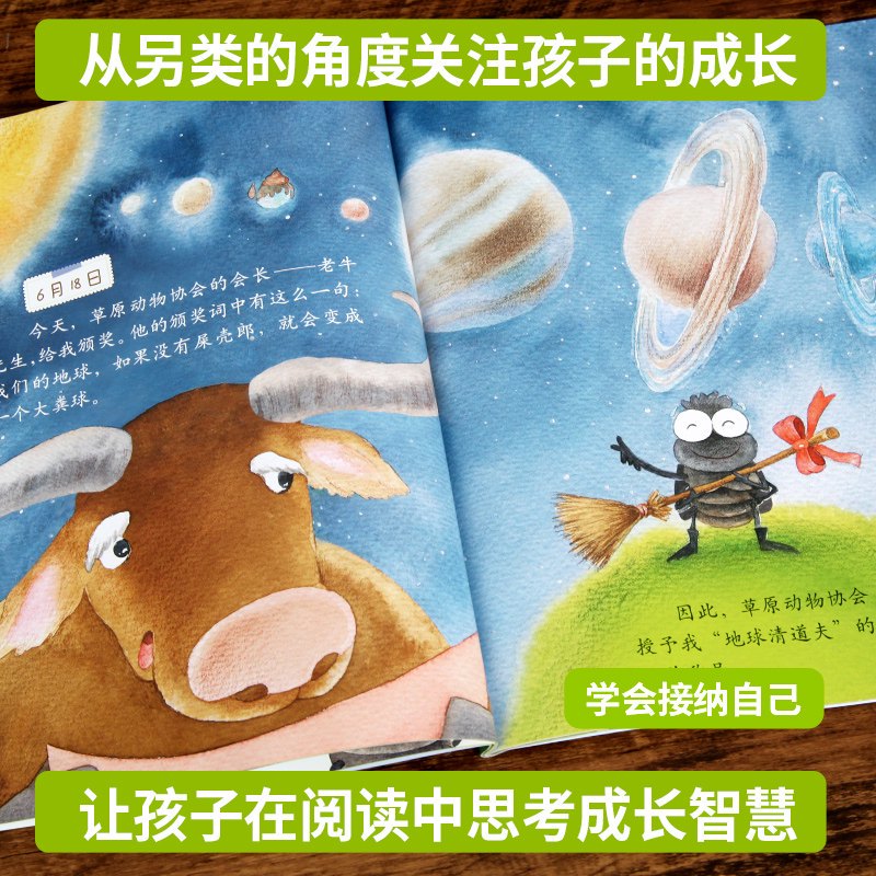 一天的生活｜从厨房苍蝇到厨房里的故事