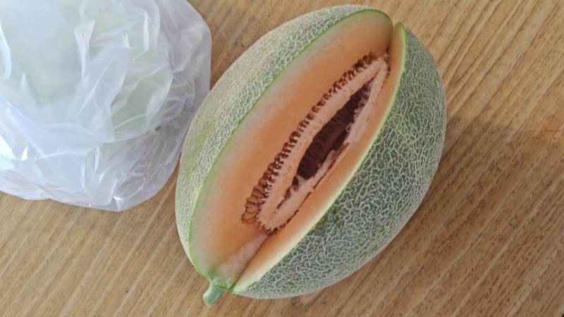 夏日里的甜蜜时光丨—吃哈密瓜日记