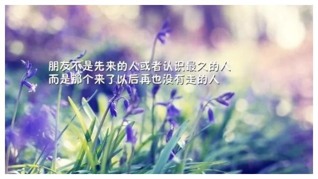 春风吹过，你是我最温柔的句子！