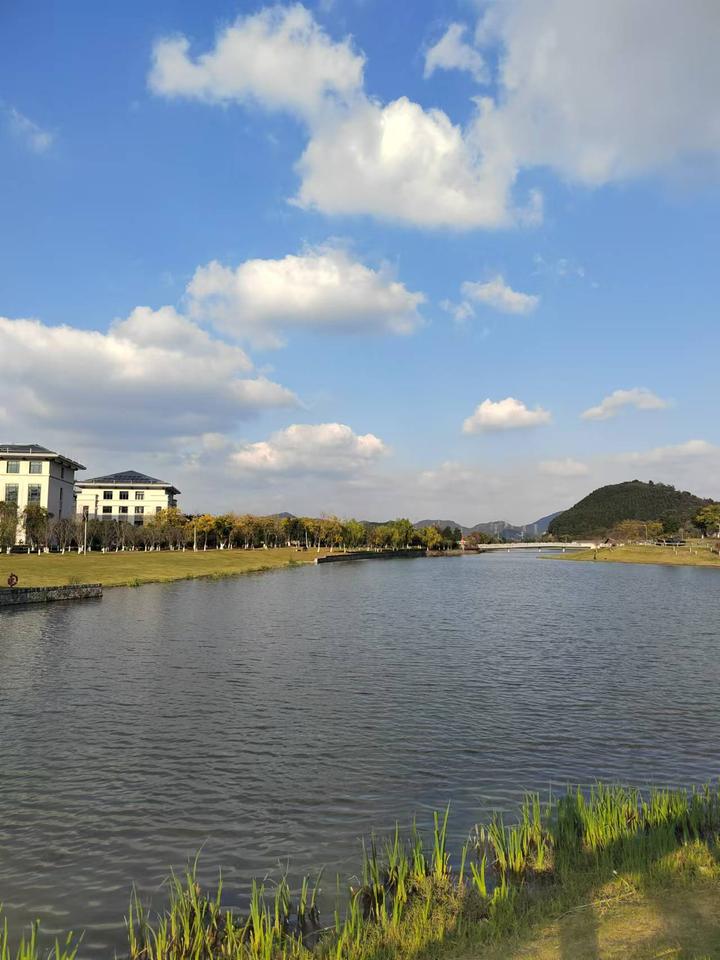 情话，那温柔的陷阱？