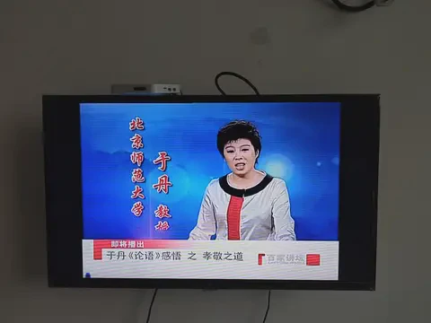 深夜里的“百家讲坛”丨我和我的拖延症日记