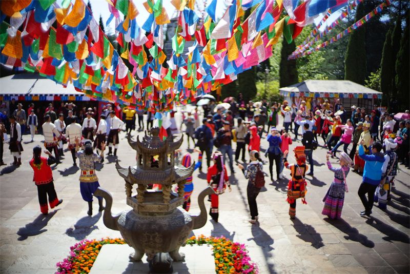 民族村春游丨一场五彩斑斓的邂逅