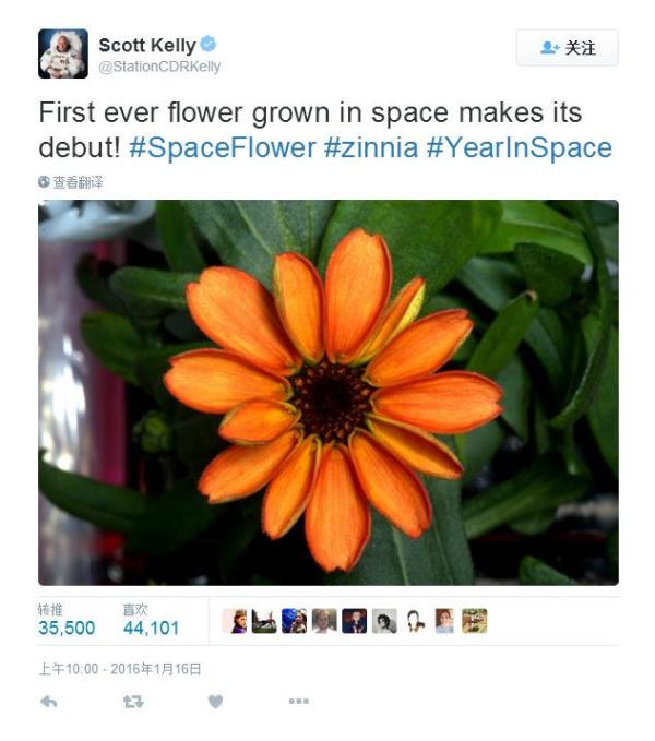 秋日里的小小惊喜？