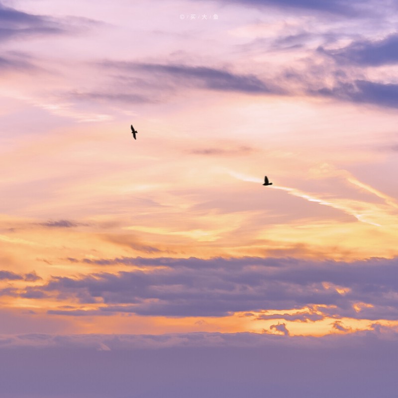 雾里看花，情话里的朦胧美？