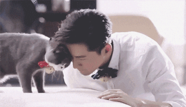 翻身情话·那些让我想靠近你的温柔告白