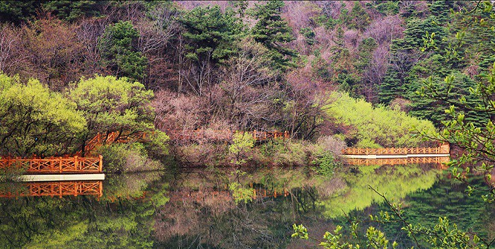 随州情话—爱在诗意的小镇里