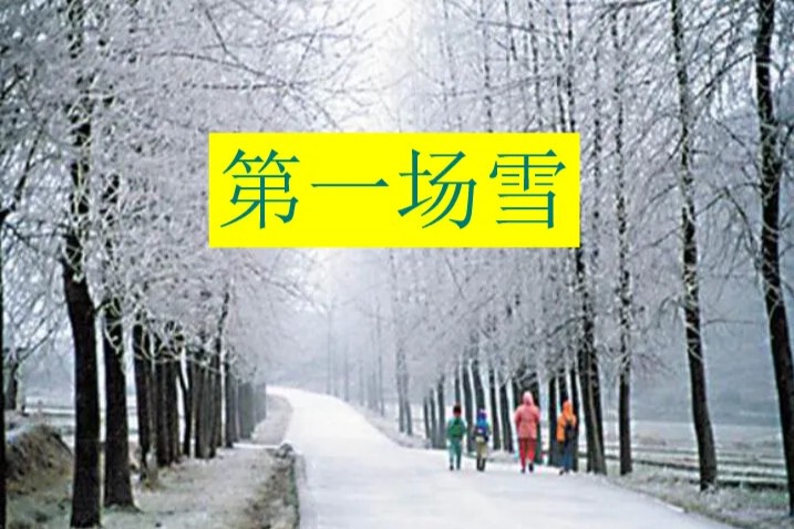 青雪的旧书店奇遇…