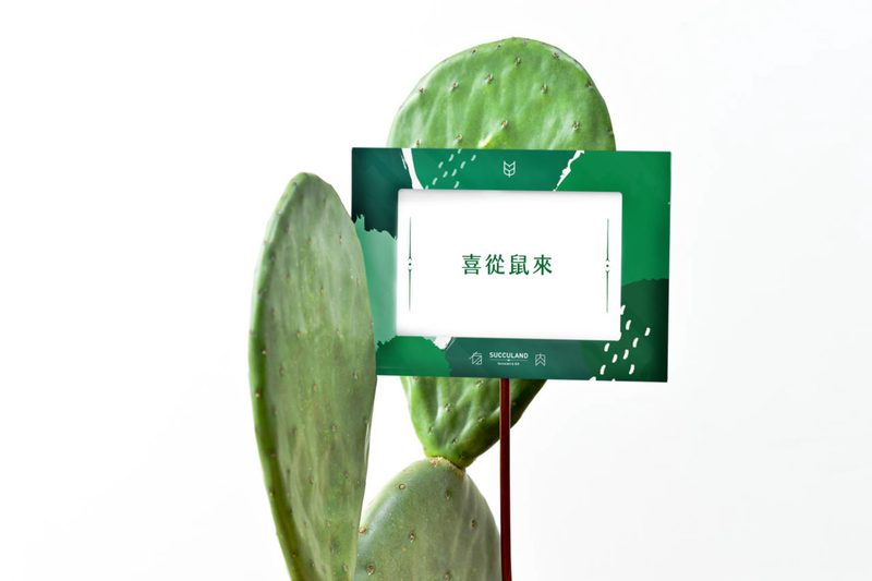 鼠年情话：那些藏在年轮里的温柔