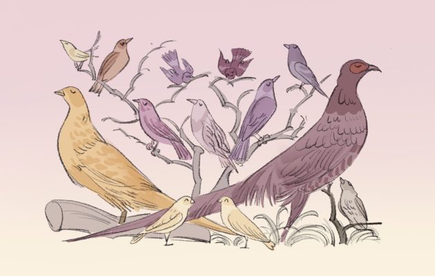 今天，我和小猫咪的“秘密对话”！