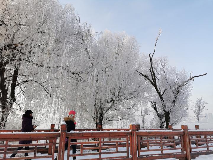 假期里的小确幸与大自然的亲密对话…