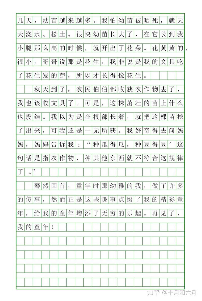那些陪伴我成长的小伙伴！