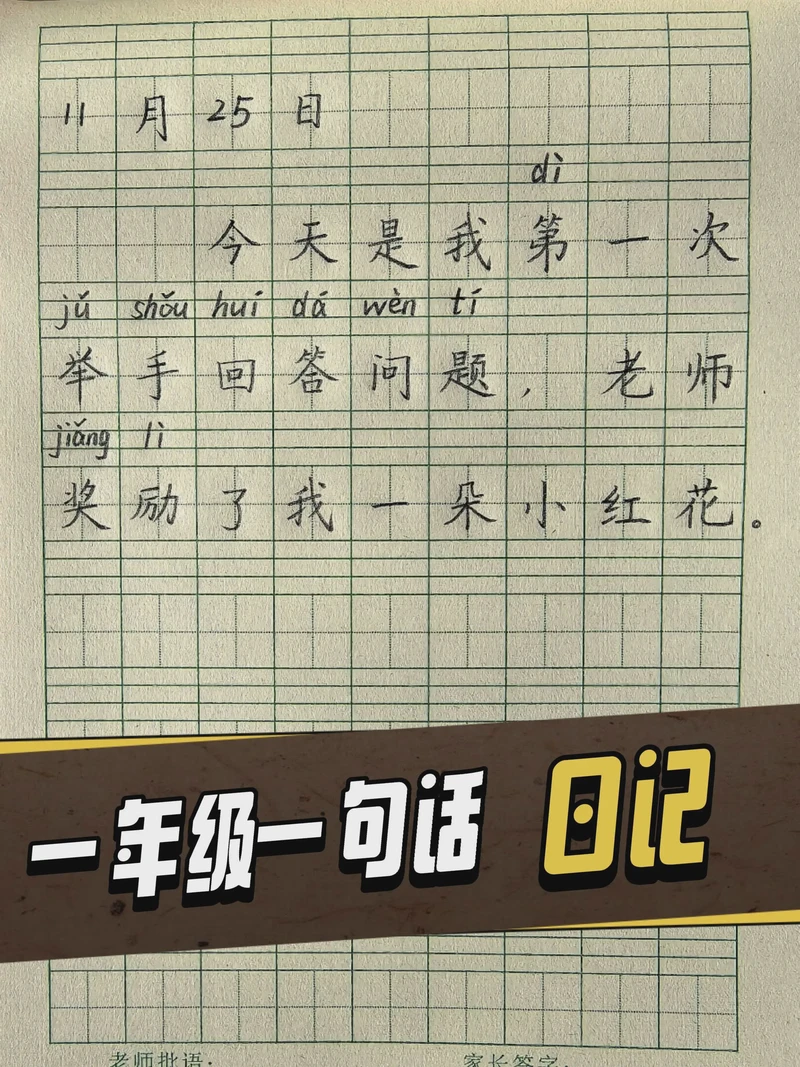 护蛋行动首日·鸡蛋碎了，心却更碎了