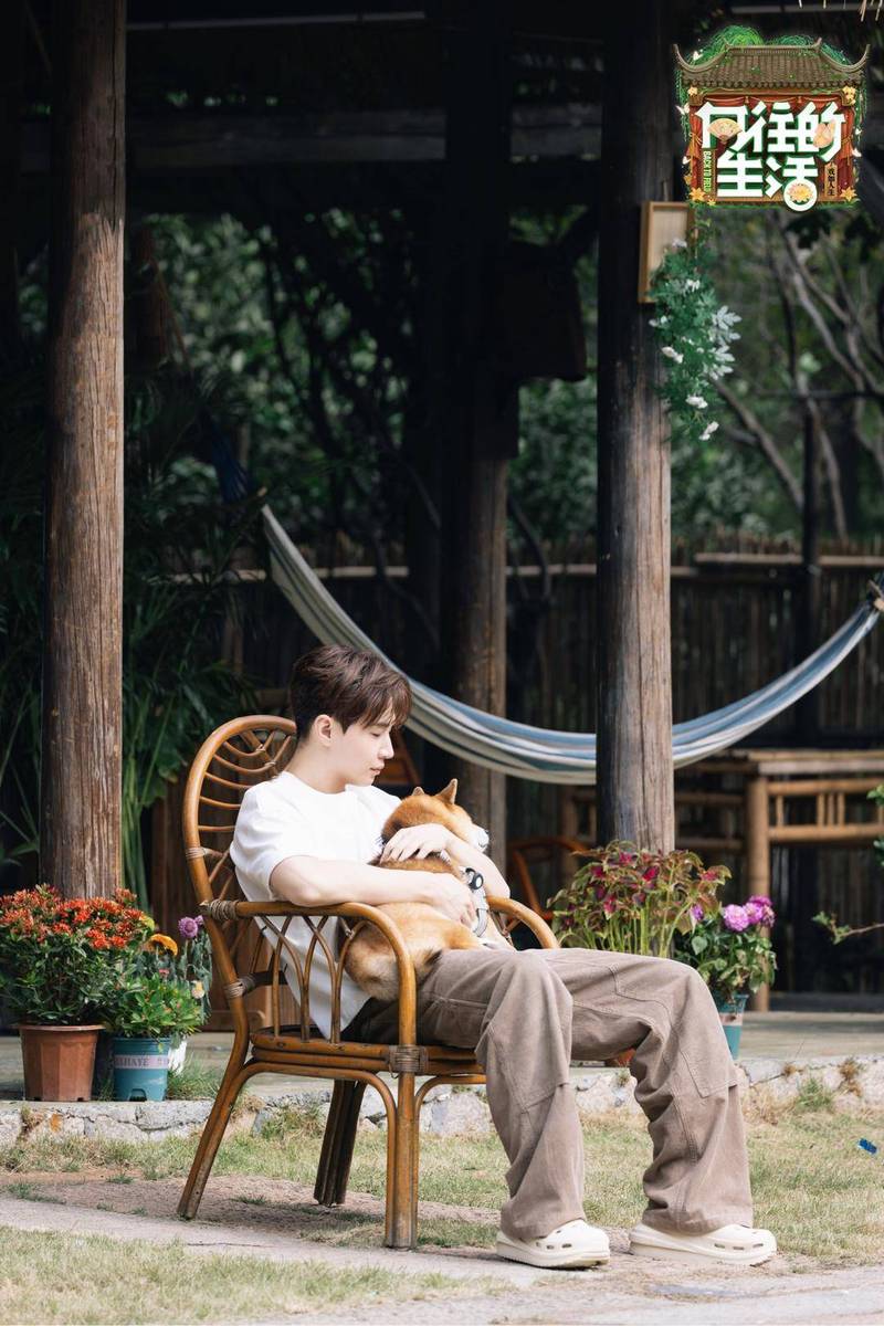 情话的奖杯｜每一句都是心底的独白