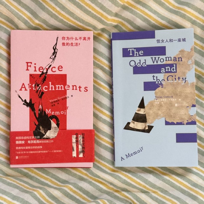 书海中的避风港丨我的阅读日记