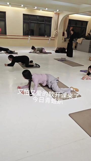 舞蹈基本功日记！