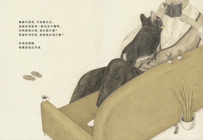 小狗500的日常！