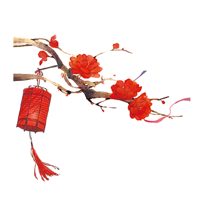 阳台上的红灯笼—和灯笼花的一次偶遇