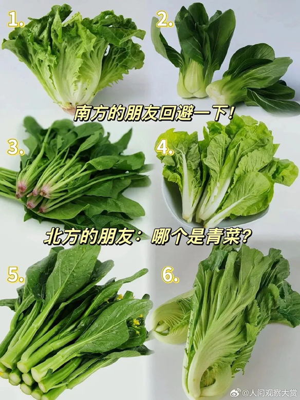 藏在青菜里的情话·那些温柔而动人的告白