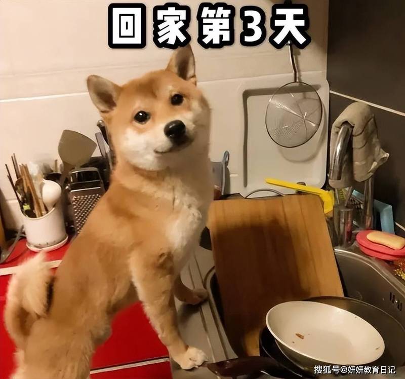 远方妈妈的电话，心里暖暖的！