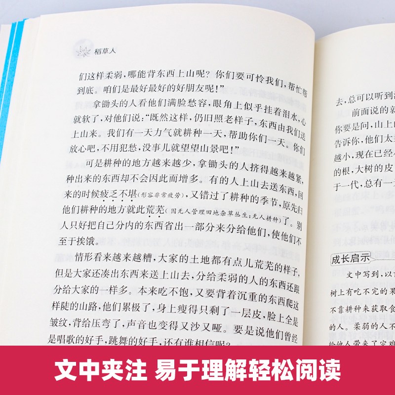 稻草人的守望 稻草人的守望