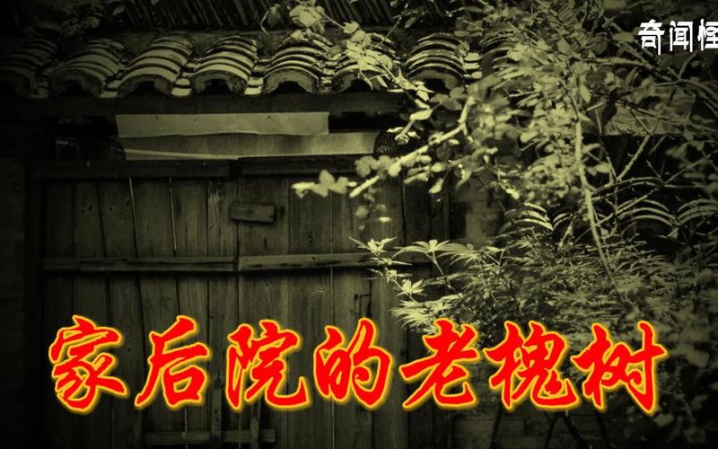 夜幕下的旧书店丨一场穿越时空的故事会