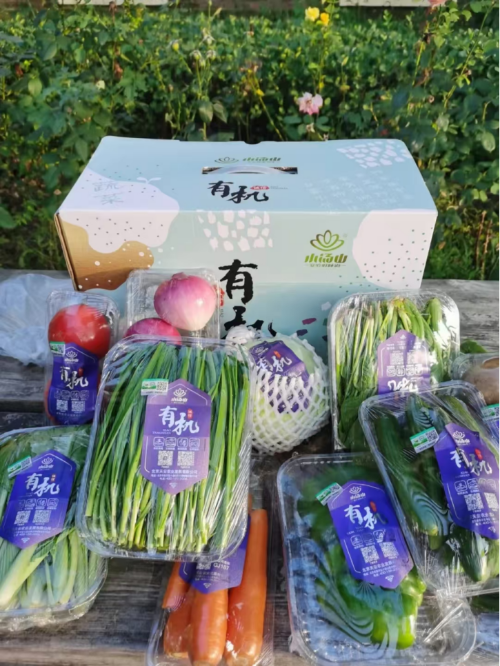 草莓园的甜蜜冒险…