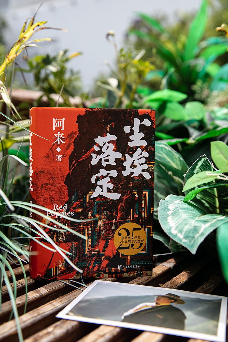 树的日记—最后一片落叶的告别