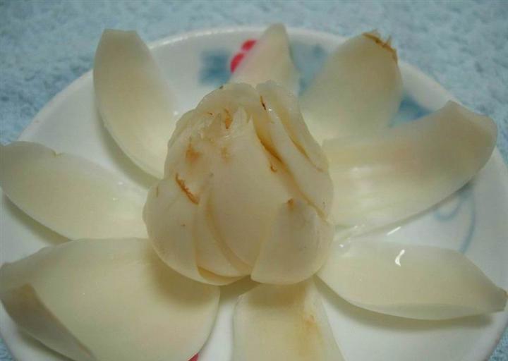 百合日记·在琐碎里种一束花