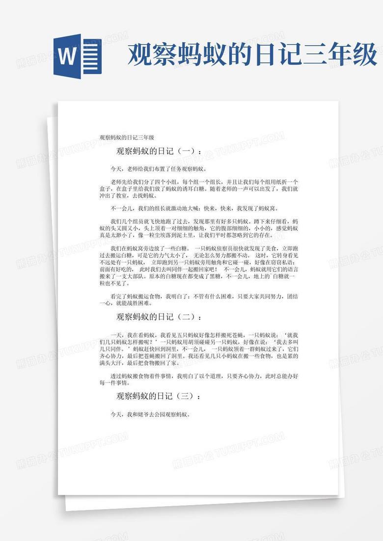 小乌龟的三次奇妙冒险…