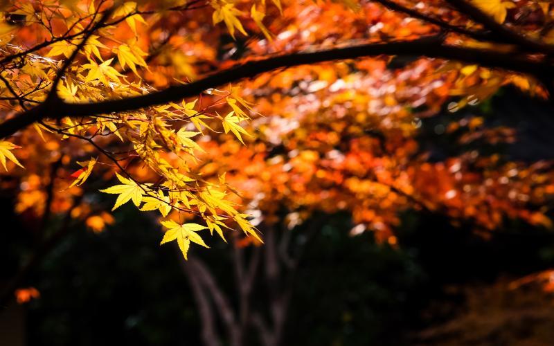 在栖霞的每一刻，都是我们的独家记忆！