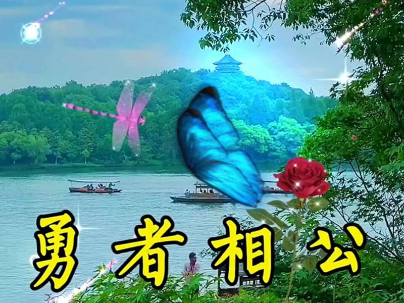 老槐树下的磁带盒！