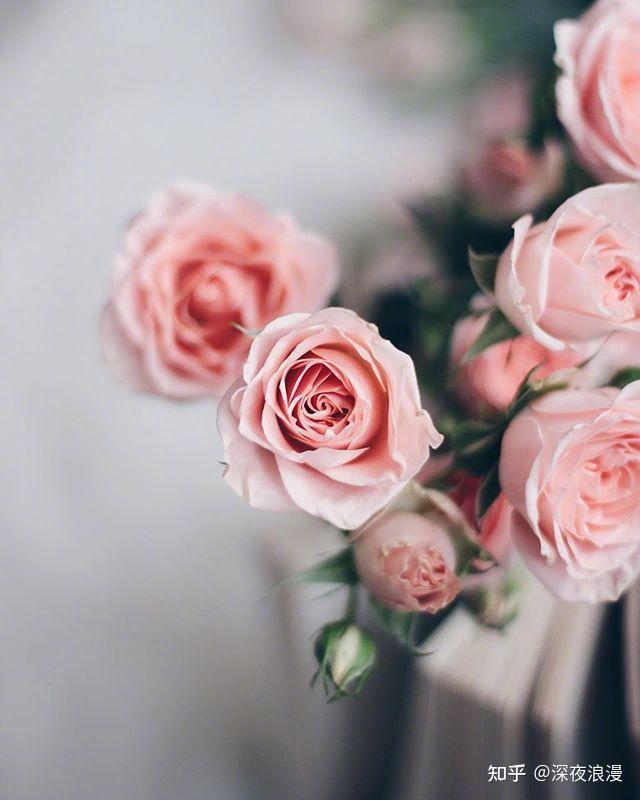 情话暖酒—爱的微醺时刻