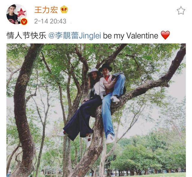 树影里的温柔话? 树影里的温柔话?