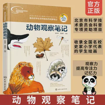 楼下那只流浪猫，居然会追着我跑！