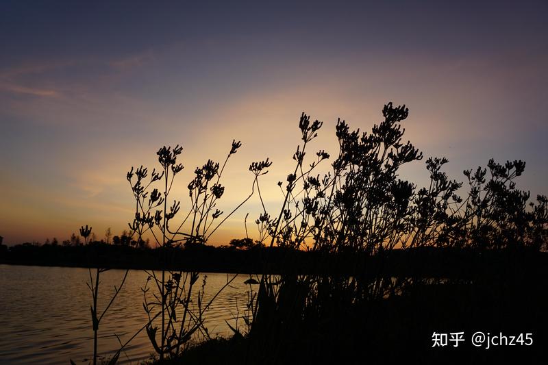 日落下的誓言·与你共绘时光的诗篇