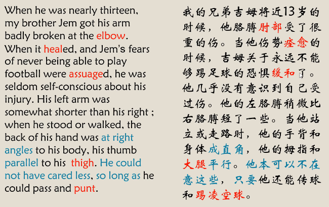 十字路口的选择｜一次道德成长的瞬间