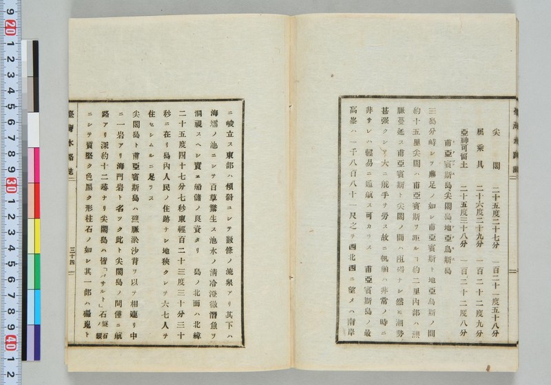 清晨的湖畔与鱼的邂逅！