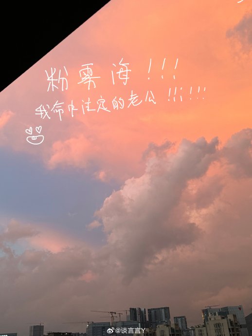 遇见孔雀的那一刻，我停下了脚步…