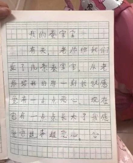 诚实，从一颗糖果开始…